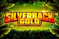 Аппарат на деньги Silverback Gold